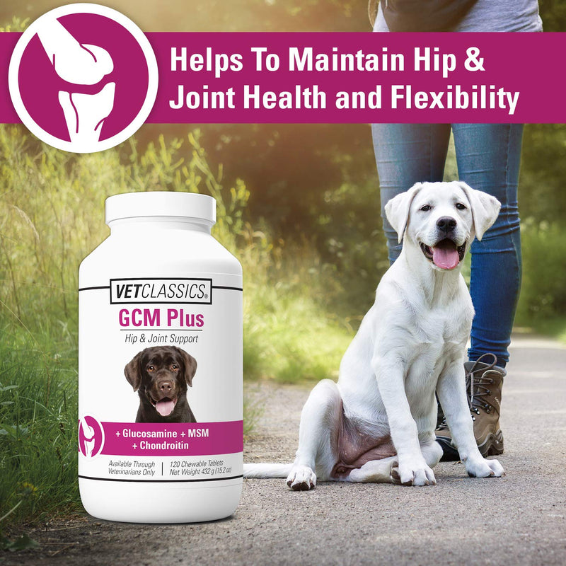 Vet Classics GCM Plus Hip & Joint Support Dog Supplement – Includes MSM, Chondroitin, Glucosamine – Supports Healthy Joints, Flexible Hips in Dogs – Chewable Tablets 120 Ct. - BeesActive Australia