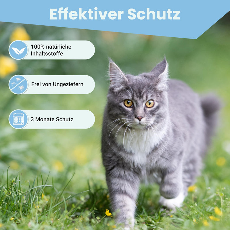 MC-Royal® Spot On tick protection for cats [100% natural ingredients] Tick repellent for cats - tick protection for cats - Spot On for cats - BeesActive Australia