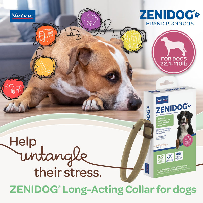 Dog Calming Collar with Pheromones - Zenidog Long-Acting Collar, Dog Calming Pheromone Collar, Long-Acting Pheromones for Dogs, Calming Collar, Dog Calming, Calming Collar for Dogs (Large Dogs) Large Dogs - PawsPlanet Australia