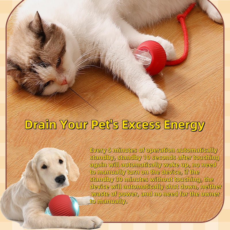 Interactive Dog Cat Toys Ball, Electric Rolling Ball Dog Toy, Automatic Moving Bouncing Toy Ball with Lights, Dog Toys to Keep Them Busy, Peppy Pet Ball for Bored Indoor Cats & Dogs (Red) Red - BeesActive Australia