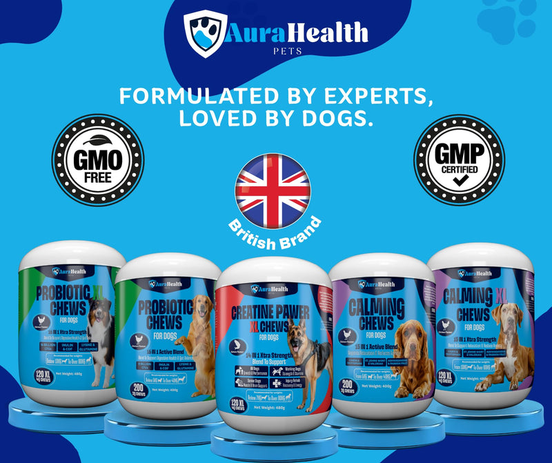 Probiotic 200 Chews up to 4-month supply for Small to Madium Dogs 16-in-1 Support Gut Health, Diarrhea & Allergies – 8 Billion CFUs, Prebiotics, Glutamine, Inulin, Omega-3, Chicken Flavour. 200 Chews - 2g