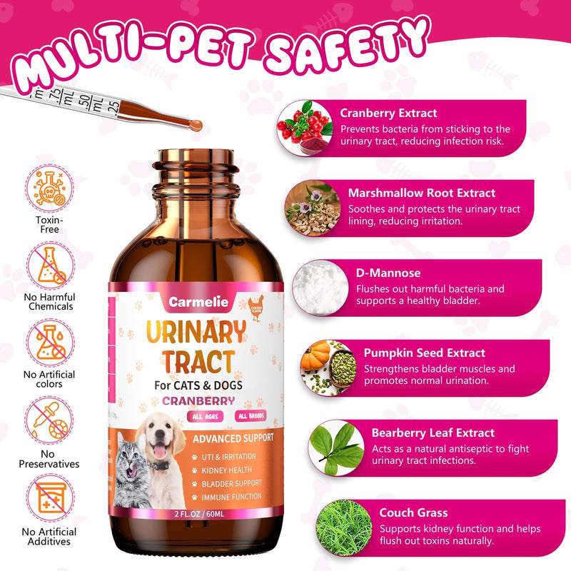 Cat & Dog Urinary Tract Support Drops with Cranberry – Kidney & Bladder Health– Natural Supplement for Pet Wellness & Comfort - BeesActive Australia