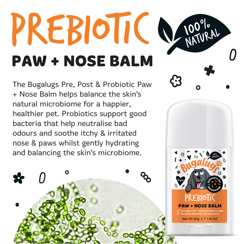 Bugalugs Prebiotic Dog nose balm, Natural lick safe Paw balm for dogs contains Pumpkin Powder for itchy skin and supports your dogs Microbiome (Prebiotic Paw & Nose Balm) Prebiotic Paw & Nose Balm