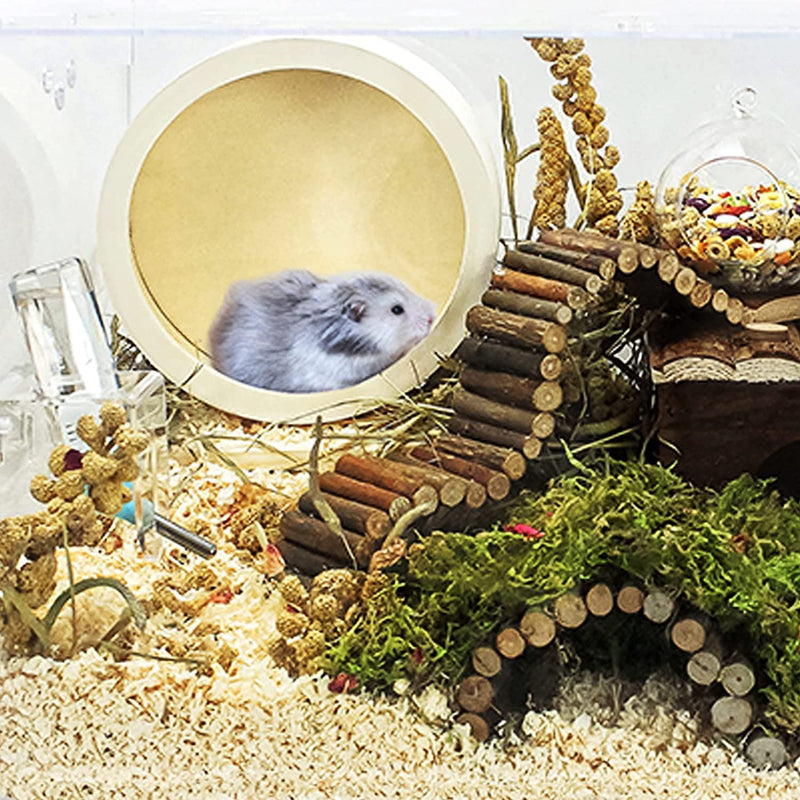 Allazone Hamster Wooden Running Wheel, Wooden Small Pets Exercise Wheel, Running Spinner Wheel Play Toy for Rat Gerbil Mice Chinchillas Hedgehogs Guinea Pigs, S - BeesActive Australia