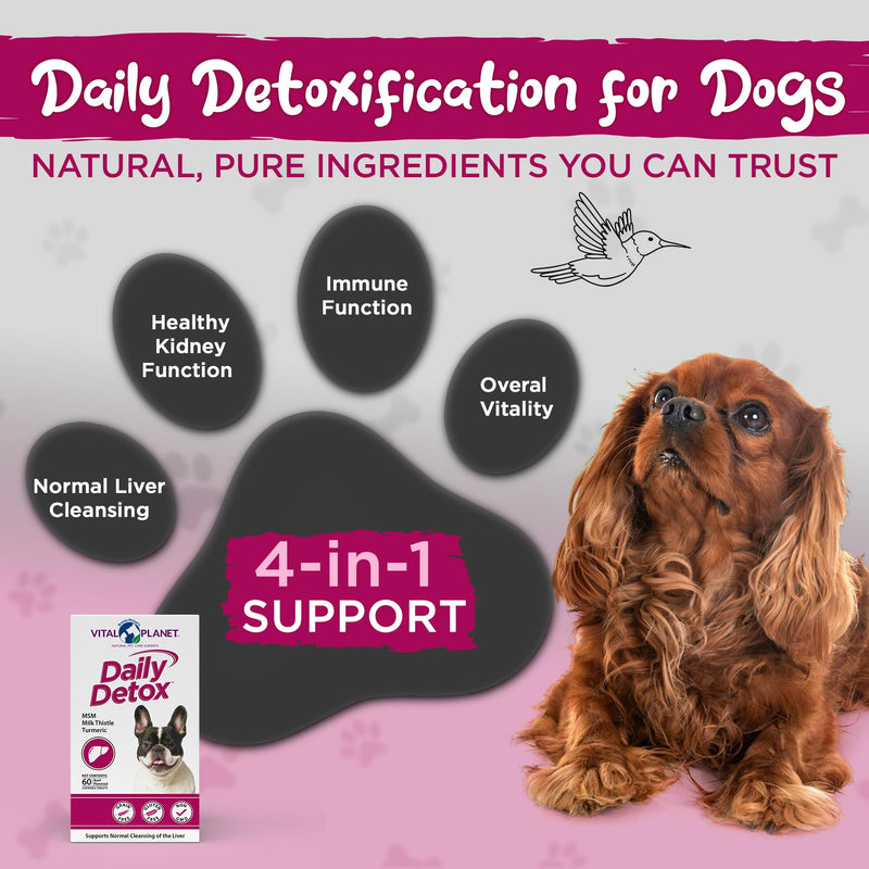 Vital Planet - Daily Detox for Dogs with MSM, Milk Thistle, Spirulina, and Turmeric, Supports The Immune System and Natural Cleansing of The Liver - 60 Beef Flavored Chewable Tablets - PawsPlanet Australia