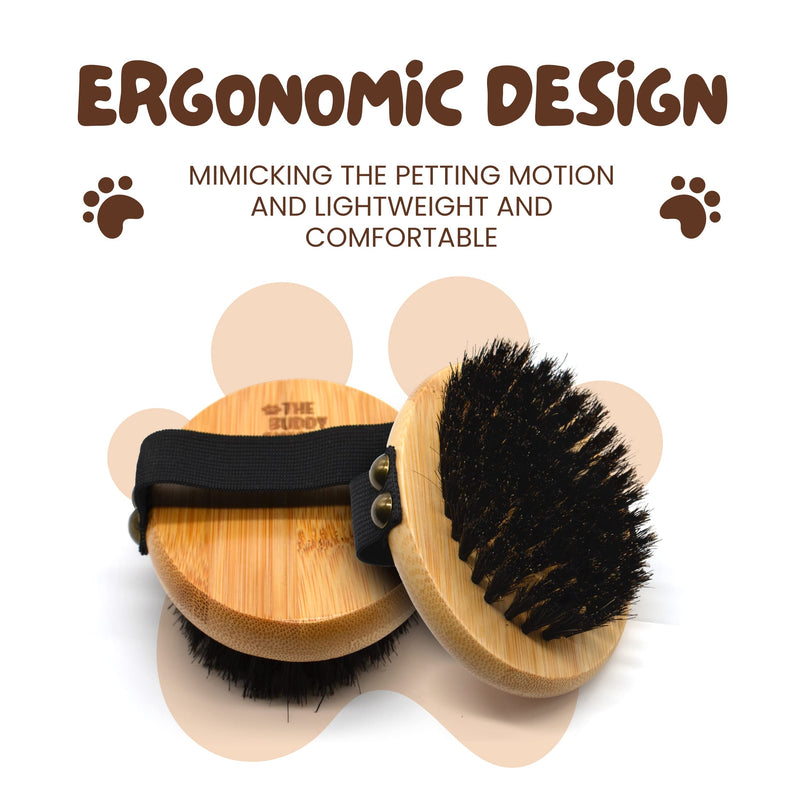 The Buddy System Pet Close Brush, Soft Touch Oval Palm Brush - Bamboo Massage Handheld with Soft Boar Bristles and Elastic Band for Dogs and Cats 1-pack Oval Brush - BeesActive Australia