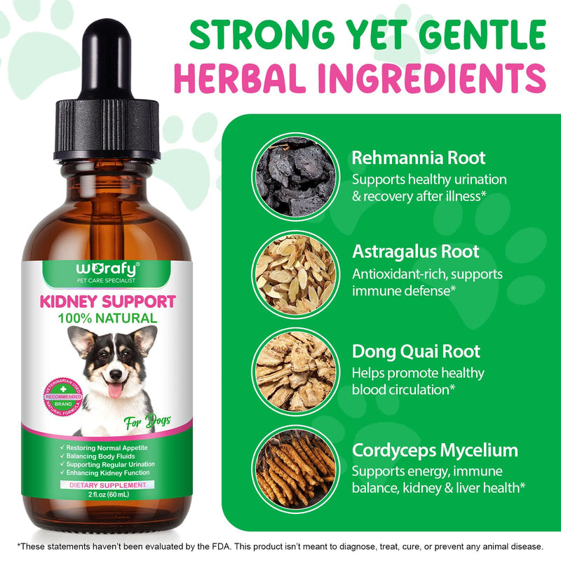 Bladder & Kidney Support for Dogs, 100% Natural Urinary Tract Treatment for Dogs 60ml, Supports Healthy Kidney Function and UTI Care Dog with Rehmannia, Immune System Booster Dog with Radix Astragali