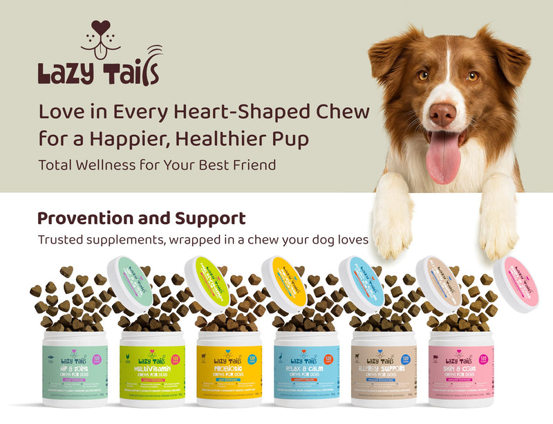Multivitamins for Dogs – 120 Soft Dog Chews Packed with Vitamins & Minerals – Dogs Multivitamin for Vitality & Overall Wellness – Chicken Flavor Dog Treats for All Ages, Breeds & Sizes