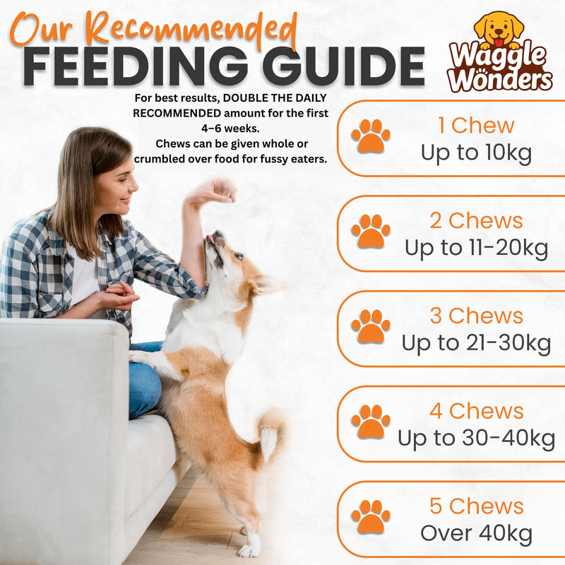 Dog Treats for Itchy Skin - All Itch & Immunity Dog Chews with Salmon Oil, Probiotics & Colostrum, Scratching, Licking & Chewing, 120 Chews