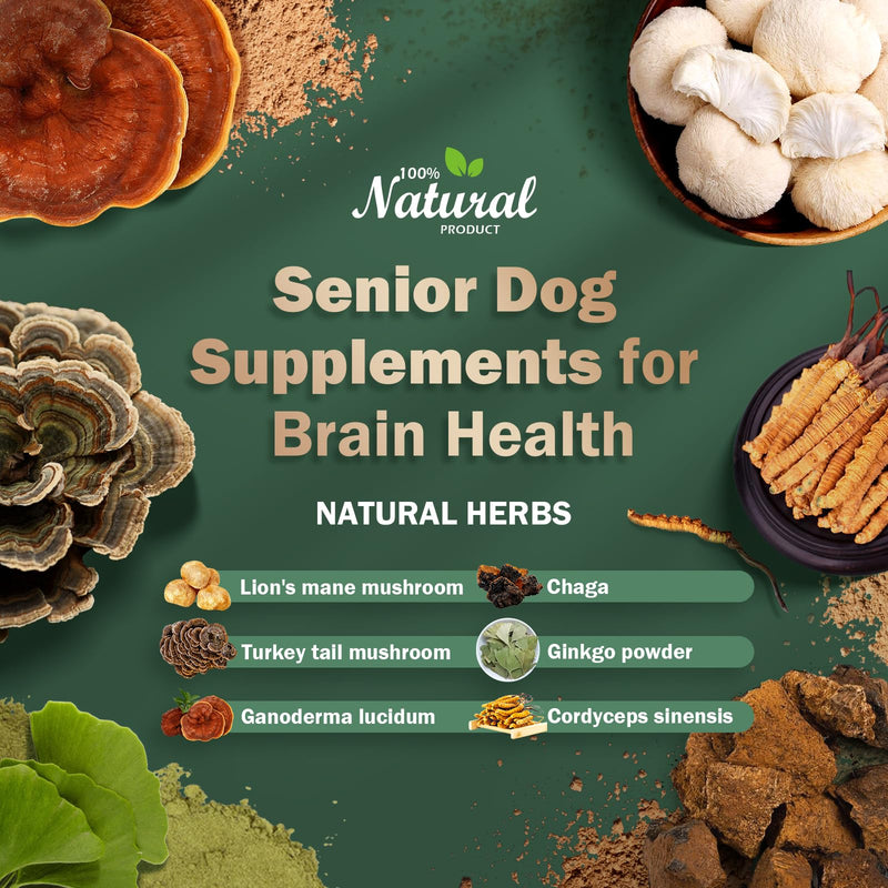 Senior Dog Supplements for Brain Health & Nervous System Support, Mushroom Supplement for Dogs, Dementia Supplement for Calming & Relaxation, Addresses Getting Lost, Social Withdrawal - 59 ML - PawsPlanet Australia