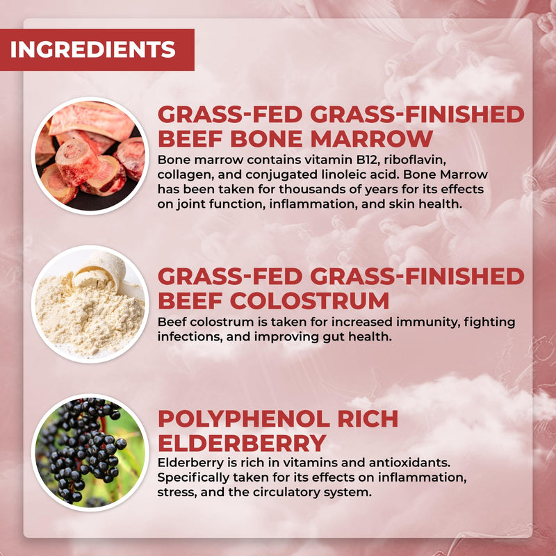 Santa Cruz Paleo, Food of the Gods Grass Fed Beef Organ Supplement for Men and Women, with Collagen, Maca Root, Colostrum, Bone Broth, Iron, Vitamin B12, Gluten Free, Keto Friendly, 30 Servings