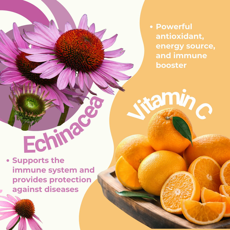 Immune System Support Supplement - Natural Blend of Propolis, Royal Jelly, Echinacea & Vitamin C - Enhances Health Plant-Based 90 Capsules (Pack of 1)