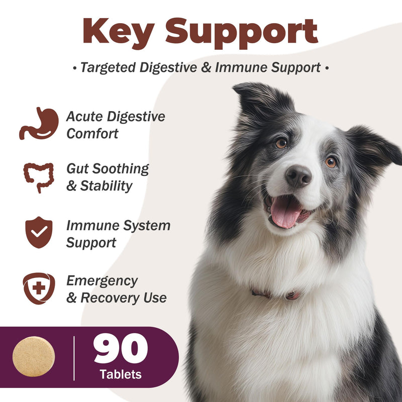 Digestive Rescue for Dogs and Puppies – Helps Maintain Appetite, Gut Function & Stool Consistency – Relief of Diarrhea & Stomach Upset – With Electrolytes, Colostrum IgG, Probiotics – 90 Tablets