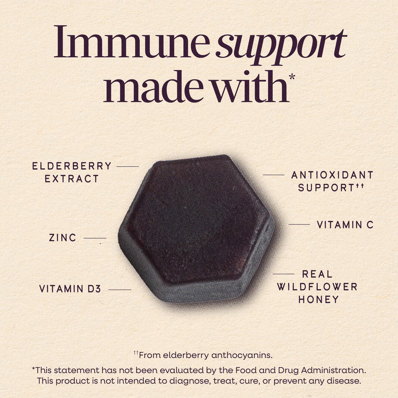 Nature's Way Sambucus Elderberry + Wildflower Honey Immune Gummy, 50 ct | Daily Immune Support Gummies with Vitamins C & D3, Zinc for Adults and Kids Ages 4+*, 50 Vegetarian Gummies