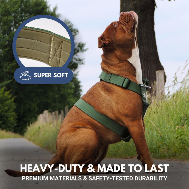 Spark Paws Large Dog No-Pull Harness, Halter Design with Front Clip, Durable and Heavy-Duty for Big and Strong Breeds - Solid Green – L L [36-68kg Green - BeesActive Australia