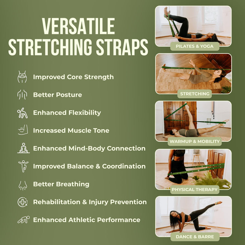 Two8 Bands Pilates in a Box -Workout Resistance Bands For Working Out Women & Men, Resistance Band With Loops, Stretch Band For Exercise, At Home Pilates Equipment for Home Workouts Kit, Workout Loops - BeesActive Australia