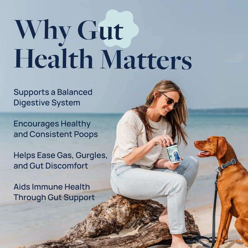 Veterinary Formula Gut Health Supplement for Dogs – Vet-Formulated Probiotic Chews with Digestive Enzymes & Fiber – Smart Vitality Supports Digestive Health, Gut Balance & Stool Quality, 60 Soft Chews 60 ct