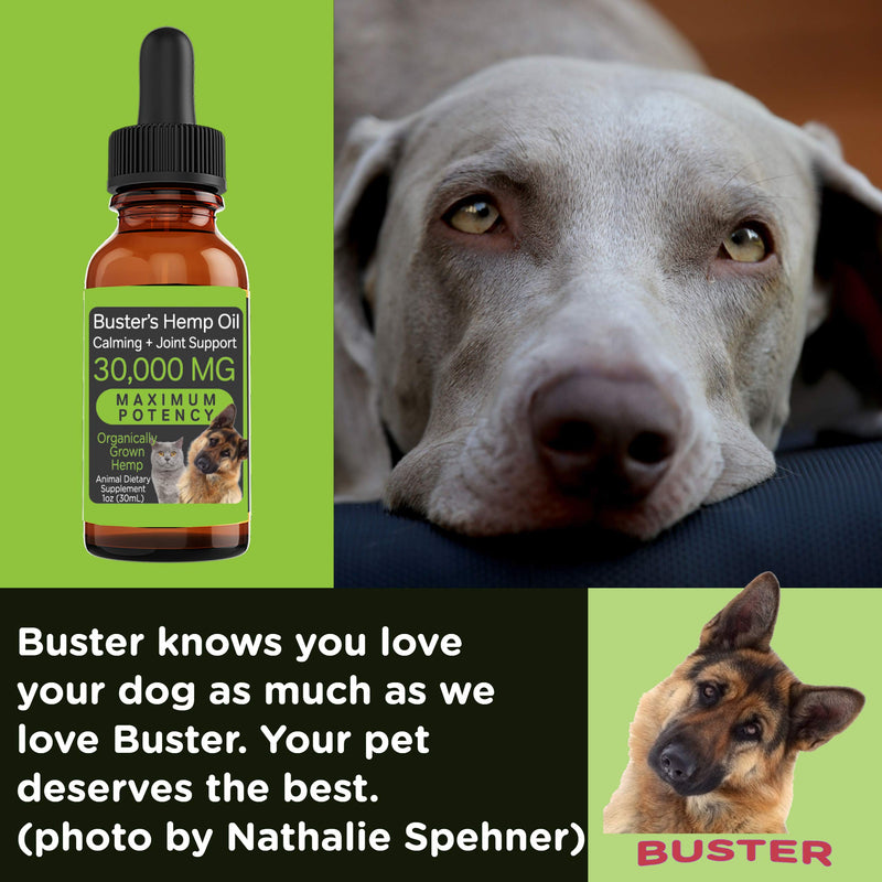 Buster's Organic Hemp Oil Treats for Dogs & Cats - Perfect Ratio Omega 3 & 6 - Made in USA - Hip & Joint Health, Natural Relief, Calming (1-Pack) 1-Pack
