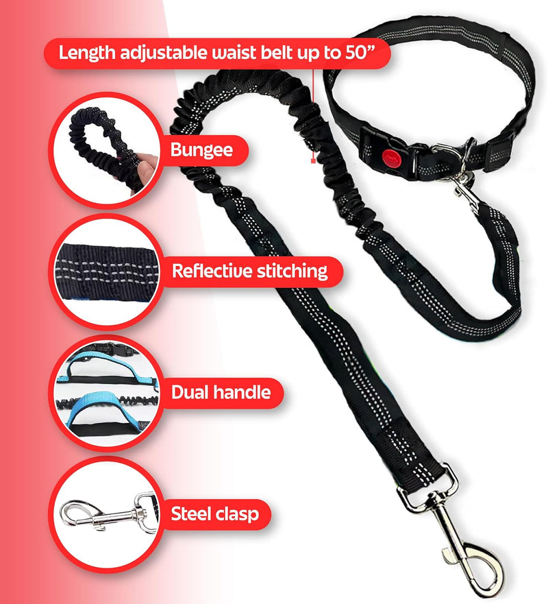 Hands Free Dog Leash with Bag Dispenser, Waste Bag Holder Clip (Black), Standard Black - BeesActive Australia