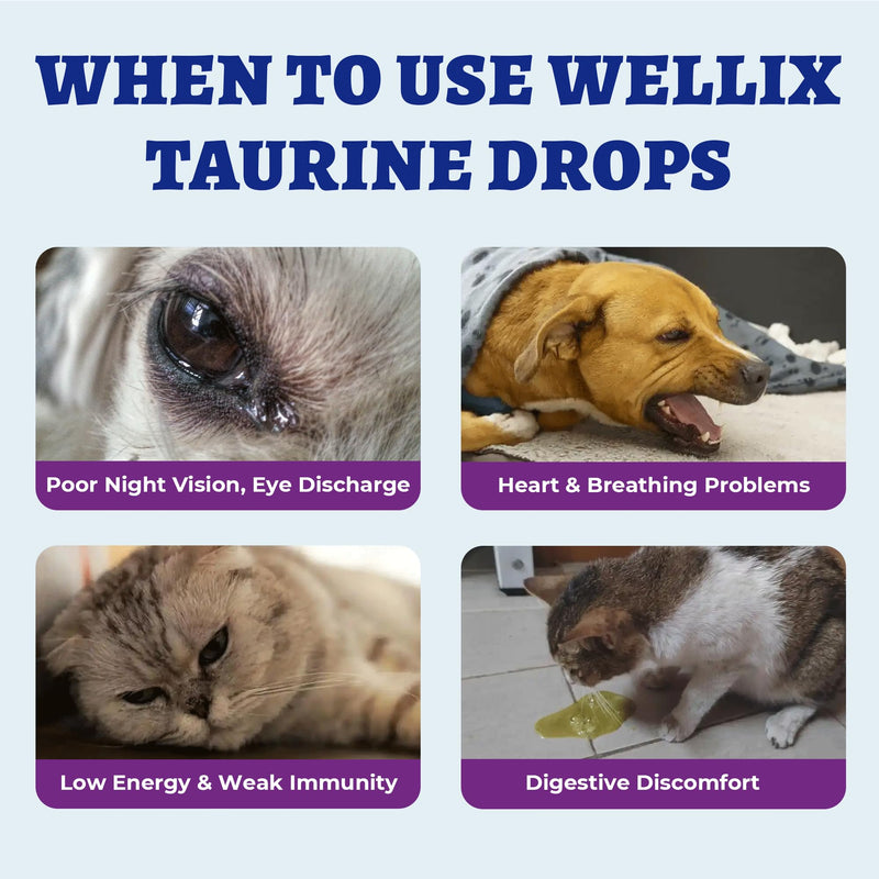 Wellix 4 oz (120 ML) Liquid Taurine Drops for Cats & Dogs, Cat & Dog Supplements & Vitamins for Heart & Vision & Immune Support, Large Bottle Taurine for Multi-Pet Households