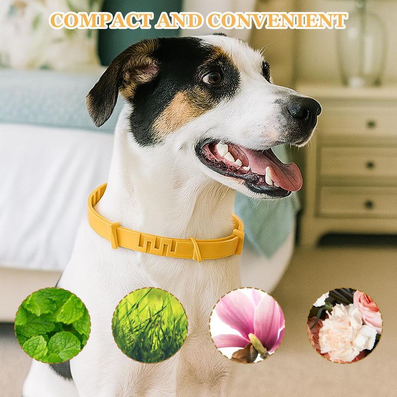 3-Pack Collar for Dogs, Dog Calming Collar, Anxiety Relief for Dogs, Thunderstorm and Firework Noise Mitigation, Vet Visit Preparation, Suitable For Dog