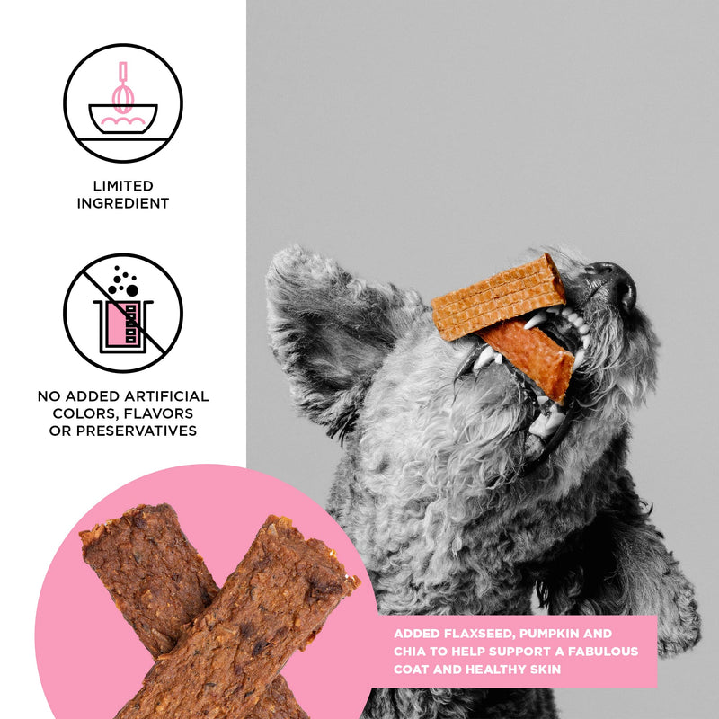 BIXBI Skin & Coat Support Salmon Jerky Dog Treats, 10 oz - USA Made Grain Free Dog Treats - Antioxidant Rich to Support Shiny, Full Bodied Coats - High in Protein, Whole Food Nutrition, No Fillers 10 Ounce (Pack of 1) - PawsPlanet Australia
