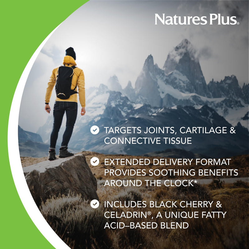NaturesPlus Ultra Rx-Joint Triple Strength - 120 Tablets - Supports Healthy Joint Function - with Glucosamine, Chondroitin & MSM - Gluten Free - 30 Servings 120 Count (Pack of 1)