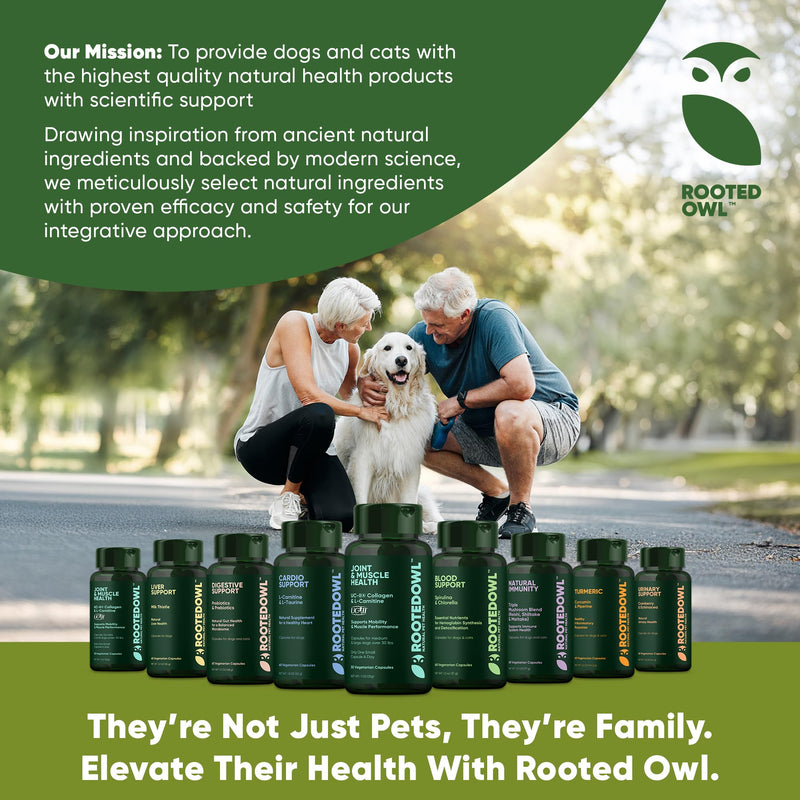 Urinary Support - Echinacea and Cranberry Supplement for Dogs - Dog UTI Prevention - 60/ct - BeesActive Australia