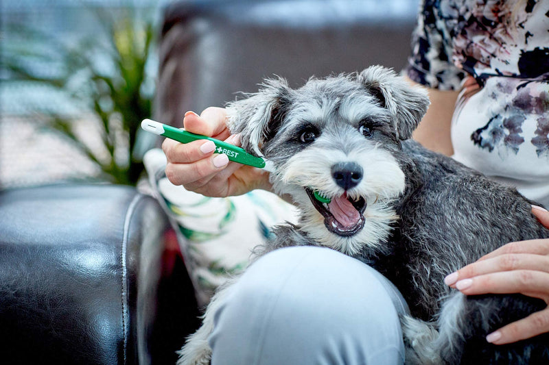 Vets Best Triple Headed Toothbrush for Dogs - Teeth Cleaning and Fresh Breath - PawsPlanet Australia