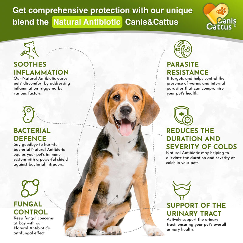 Dog Antibiotics in Drops Work as Cat UTI Treatment, Support Pets with Allergies – Natural Antibiotics for Dogs Care for Digestion and Breathing in All Pet Sizes and Breeds – 2 oz 2 Fl Oz