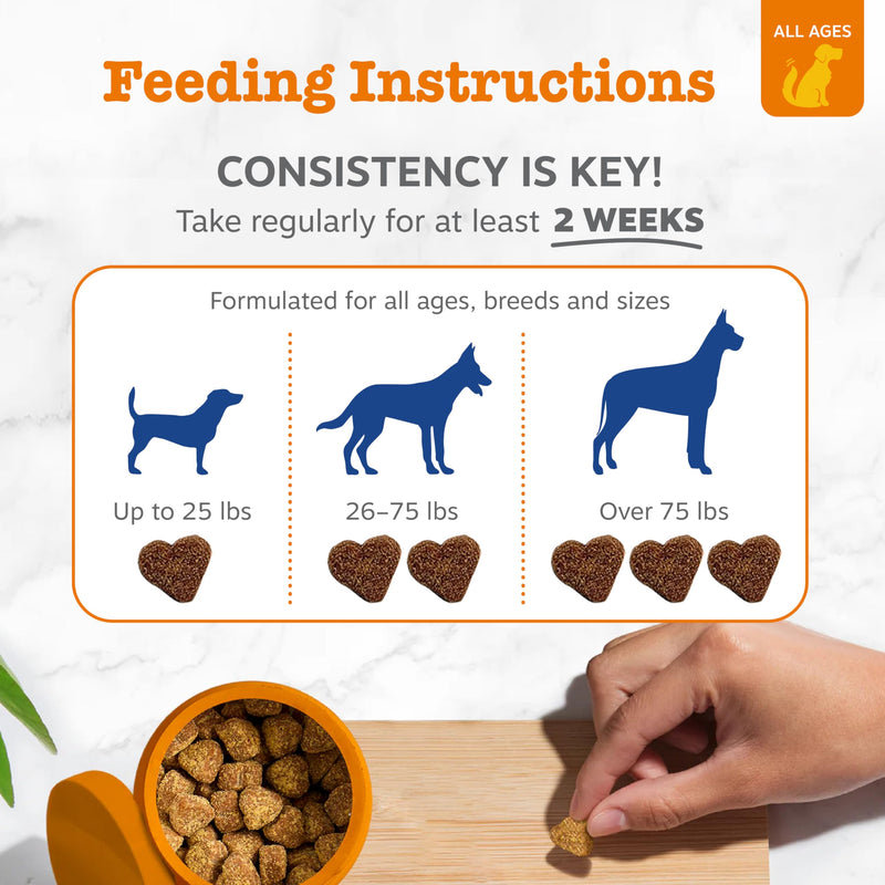 Zesty Paws Multivitamin Treats for Dogs, Glucosamine Chondroitin Joint Support + Digestive Enzymes & Probiotics, Grain Free Dog Vitamins and Supplements for Skin & Coat, Peanut Butter - 90ct Peanut Butter - 8-in-1 90 Count (Pack of 1)