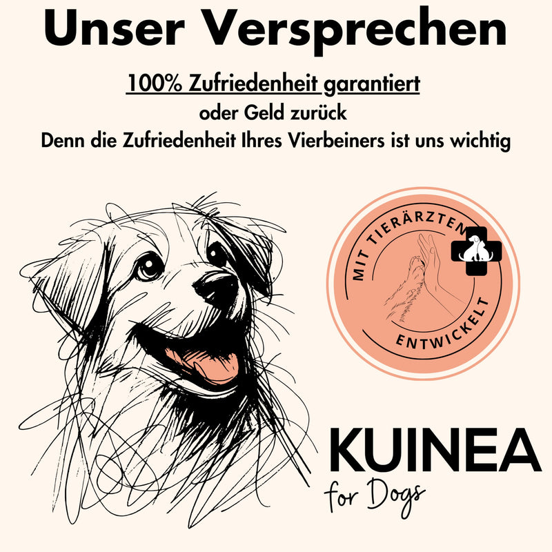 KUINEA® All-in-One vitamins for dogs as a treat I approx. 5-MONTH SUPPLY I Supports: digestion, bones & joints, immune system, coat health, dietary supplement dog 150 snacks (400g) - BeesActive Australia