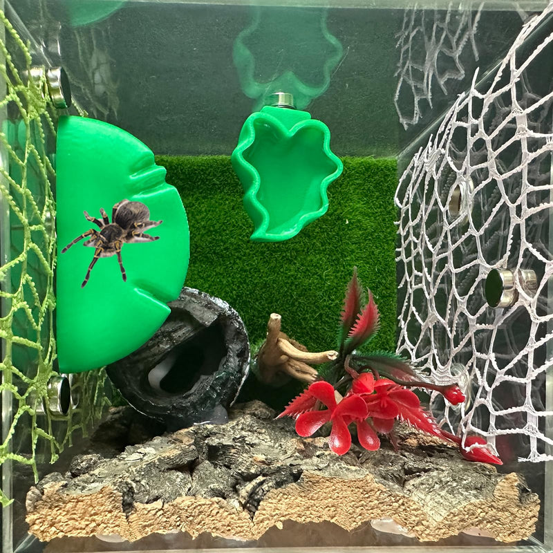 2 PCS Jumping Spider Feeding Dish, Leaf Shape Tiny Food Dishes Water Bowl with 1PC Tweezer and 1PC Dropper for Jumping Spider, Tarantula and Other Small Pets - BeesActive Australia