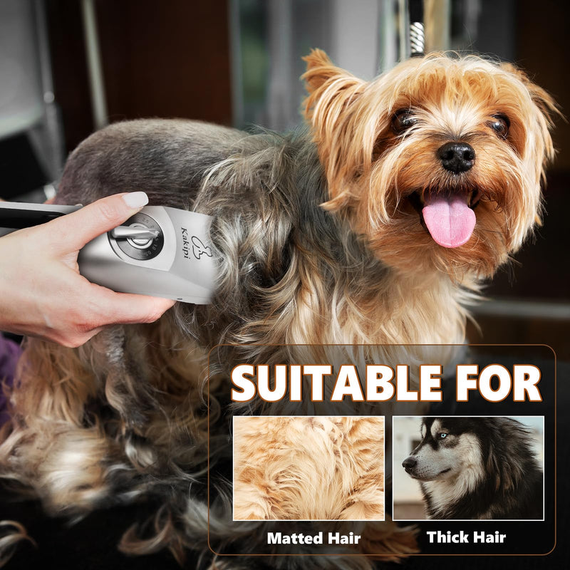 3 in 1 Low Noise Dog Clippers for Grooming, Adjustable Dog Grooming Kit for Thick Hair, IPX7 Waterproof Pet Grooming Supplies with Paw Trimmer and Scissors, for Large & Small Dog Sliver - BeesActive Australia