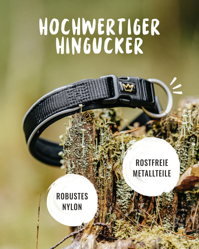 Rudelkönig dog collar Paola - adjustable dog collar made of nylon - reflective dog collar for medium-sized dogs in black size. 3 (35-40cm) Black-Reflective - BeesActive Australia