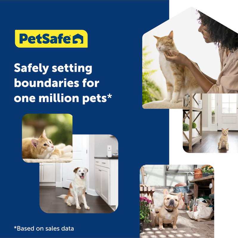 PetSafe SSSCAT Automatic Spray Pet Deterrent - World’s Leading Motion-Activated Repellent for Cats and Dogs - Keep Pets Off Furniture, Stop Cats from Scratching SSSCAT Spray System - BeesActive Australia