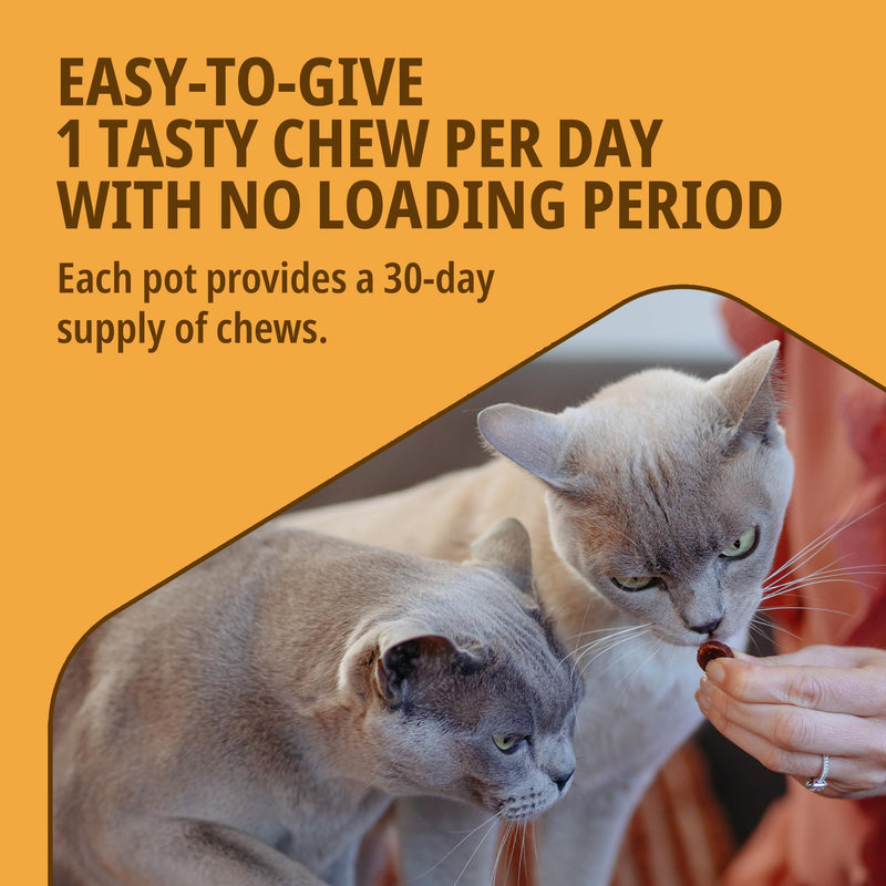 Virbac Movoflex Joint Supplements for Cats - Supports Joints & Mobility - Fast-Acting Tasty Cat Chews - Pack of 30