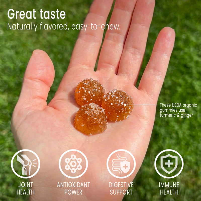 Sunsoil Recovery Organic Gummies, USDA Certified Organic, No Glucose Syrup, Vegan, Gluten-Free, Plant-Based