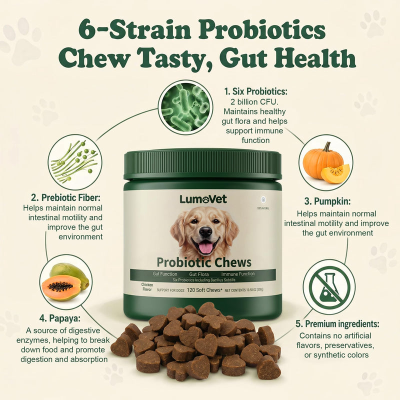 Probiotics for Dogs - with Prebiotics & Digestive Enzymes, Support Gut Digestive Health, Relief Occasional Diarrhea, Bloating & Constipation - Canine Gut Health Supplements 120 Chews(Chicken)