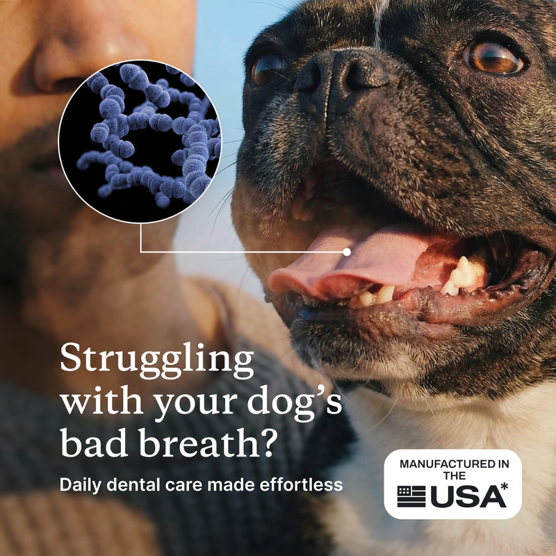 PetLab Co. ProBright Dental Powder - Dog Breath Freshener - Teeth Cleaning Made Easy – Targets Tartar & Bad Breath - Formulated for Small Dogs - Pack of 2