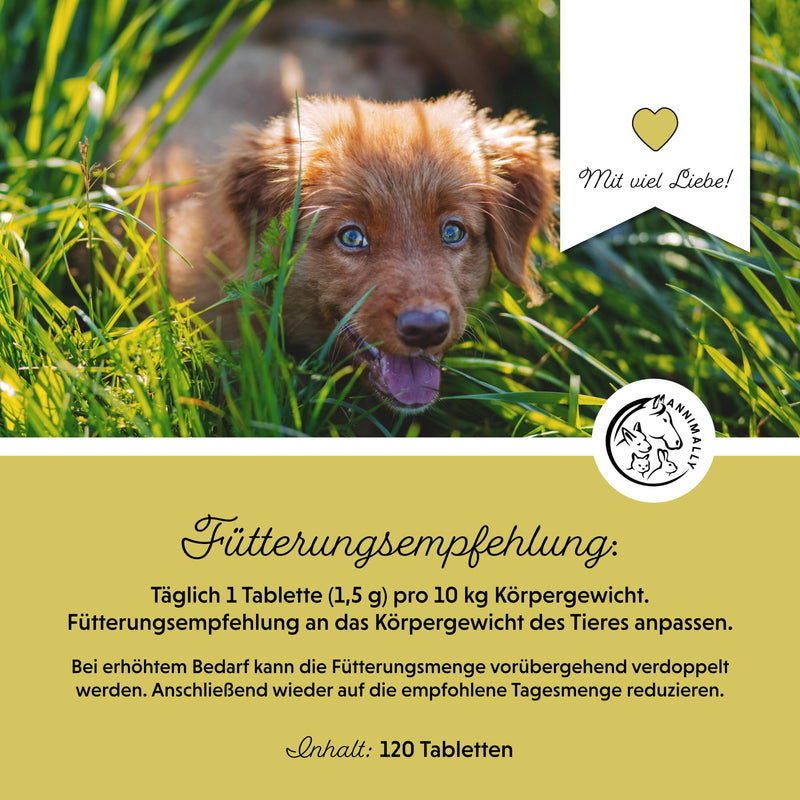 Annimally Coprophagia Tablets for Dogs 120 pcs - Stool & Grass Eating Support - Digestive Support with Probiotics, Fibre & Plant-Based Ingredients