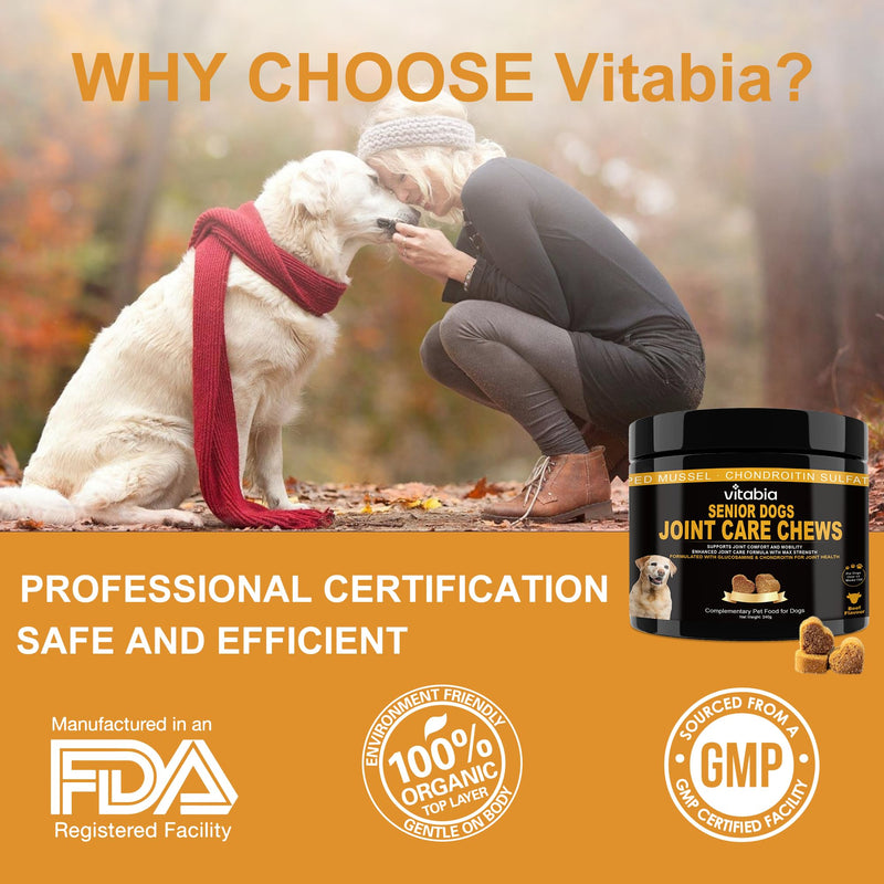 Senior Dog Joint Supplements with Glucosamine Chondroitin MSM - Hip & Joint Support for Dogs with Green Lipped Mussel, Turmeric, Omega 3 for Mobility & Comfort - Beef Flavour Dog Supplements Beef Flavour (120 Count)