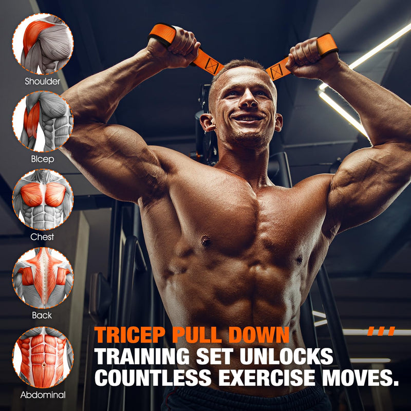 Home Gym Equipment, Heavy Resistance Bands with Handles, Tricep Workout Equipment, Bicep Curl Workout, Pull Down Attachment for Arms Back Exercise, Best Replacement for Lift Pulley System - BeesActive Australia