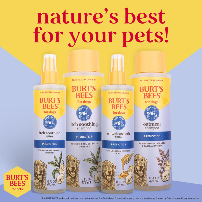 Burt's Bees for Pets Itch Soothing Spray for Dogs, Prebiotics Collection with Mushroom Extract & Green Tea, Naturally Derived Dog Itching Skin Relief Spray, 10oz 10 Fl Oz (Pack of 1)