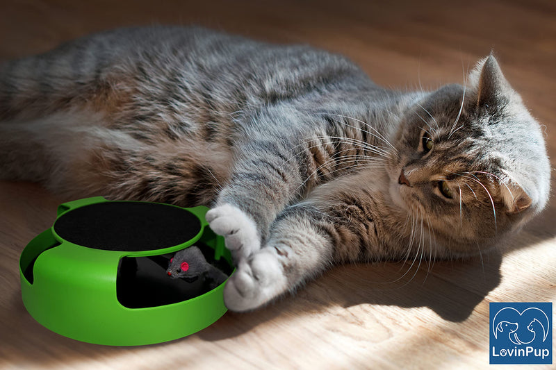 Interactive Cat Scratcher Toy – Manual Spinning Mouse for Natural Play & Claw Care – No Batteries, Quiet Design & Built-in Scratch Pad – 10" Spinning Cat Toy for Indoor Cats of All Ages Green Spinning Mouse - BeesActive Australia