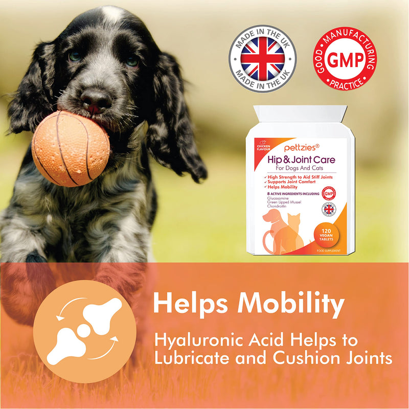 Hip and Joint Supplements for Dogs and Cats Health 120 Tablets - Arthritis Aid, Joint Care, Pain Relief Support for Senior, Young Pets - Glucosamine, Green Lipped Mussel, Chondroitin, Msm Joint Care for Dogs & Cats 120 Tablets