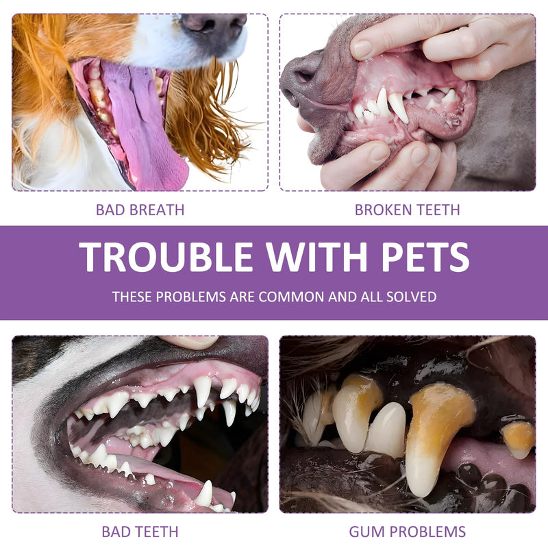 2 Pair Pawbright Dental Plus,Gentle,Promote Healthy Gums and Fresh Breath,Easy Daily Use for Pets,Effective Tartar Removal (Dog)