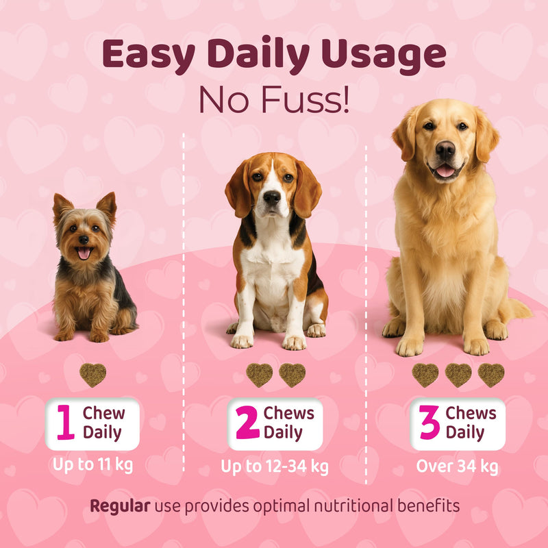 Skin & Coat Dogs Itchy Skin Chews for Dogs – 120 Soft Dog Chews – Helps Maintain Healthy Coat, Shine & Overall Skin Wellness – Natural Pork Flavor – Dog Treats for All Breeds & Sizes Skin & Coat