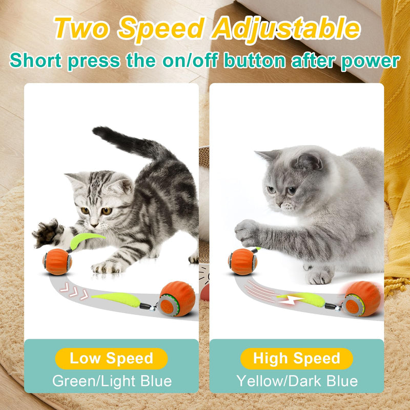 Interactive Cat Ball Toy, Speedy Tail 2.0 Cat Toy, Automatic Moving Ball Toy for Indoor Cat, Anti Depression Pet Toy, Speed Adjustable, Orange - BeesActive Australia