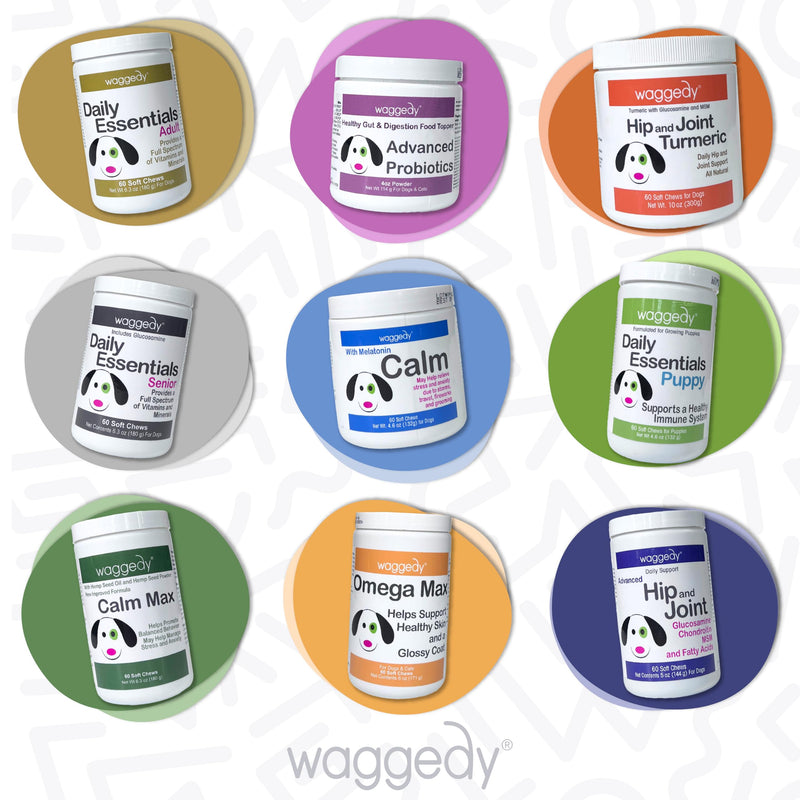 waggedy Omega Max Chews for Dogs with Salmon Oil & Flaxseed — Dog Essentials for Shiny Coats & Healthy Skin — Dog Supplements & Vitamins (60 Chews) Skin and Coat Supplement 60 Count